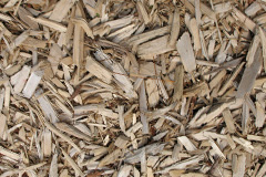 biomass boilers Wilkin Throop